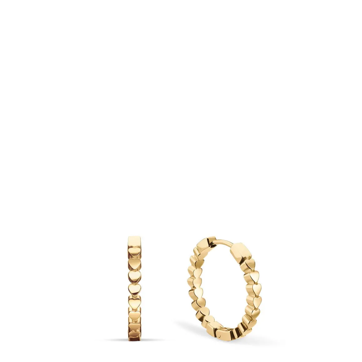 Arctic Symphony | goud gepolijst | 732-20-05