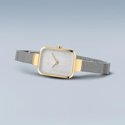 Classic | goud gepolijst/geborsteld | 14520-010