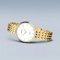 Titanium | goud gepolijst | 19334-334