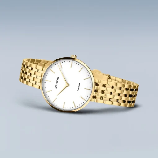 Titanium | goud gepolijst | 19334-334