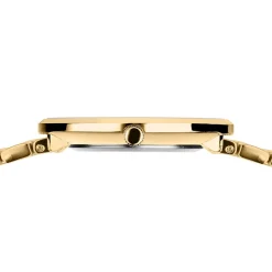 Titanium | goud gepolijst | 19334-334