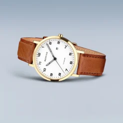 Titanium | goud gepolijst/geborsteld | 18634-534