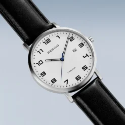 Titanium | zilver geborsteld | 18640-404