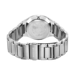 Titanium | zilver geborsteld | 11739-772